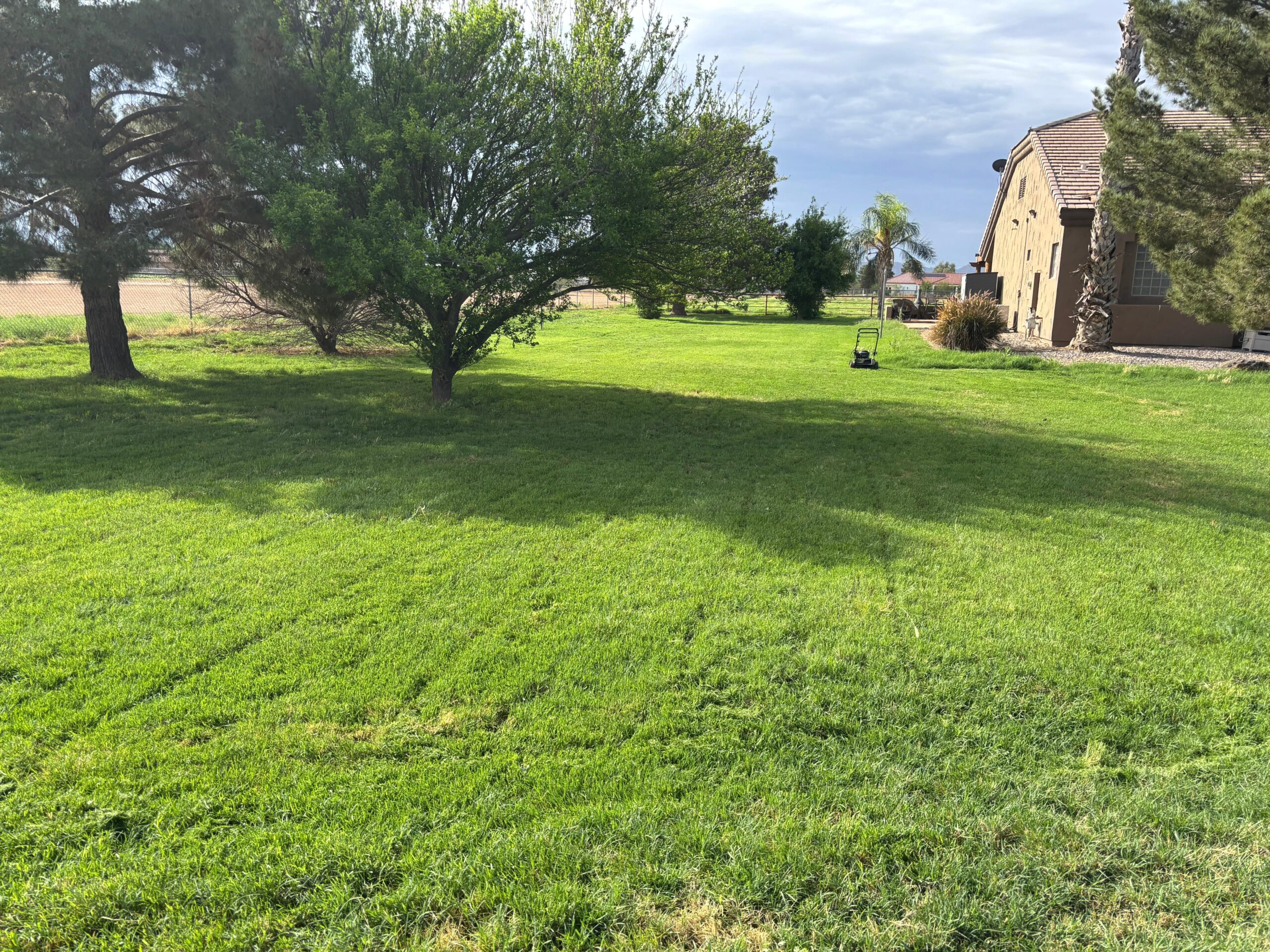 Lawn Yard Mowing