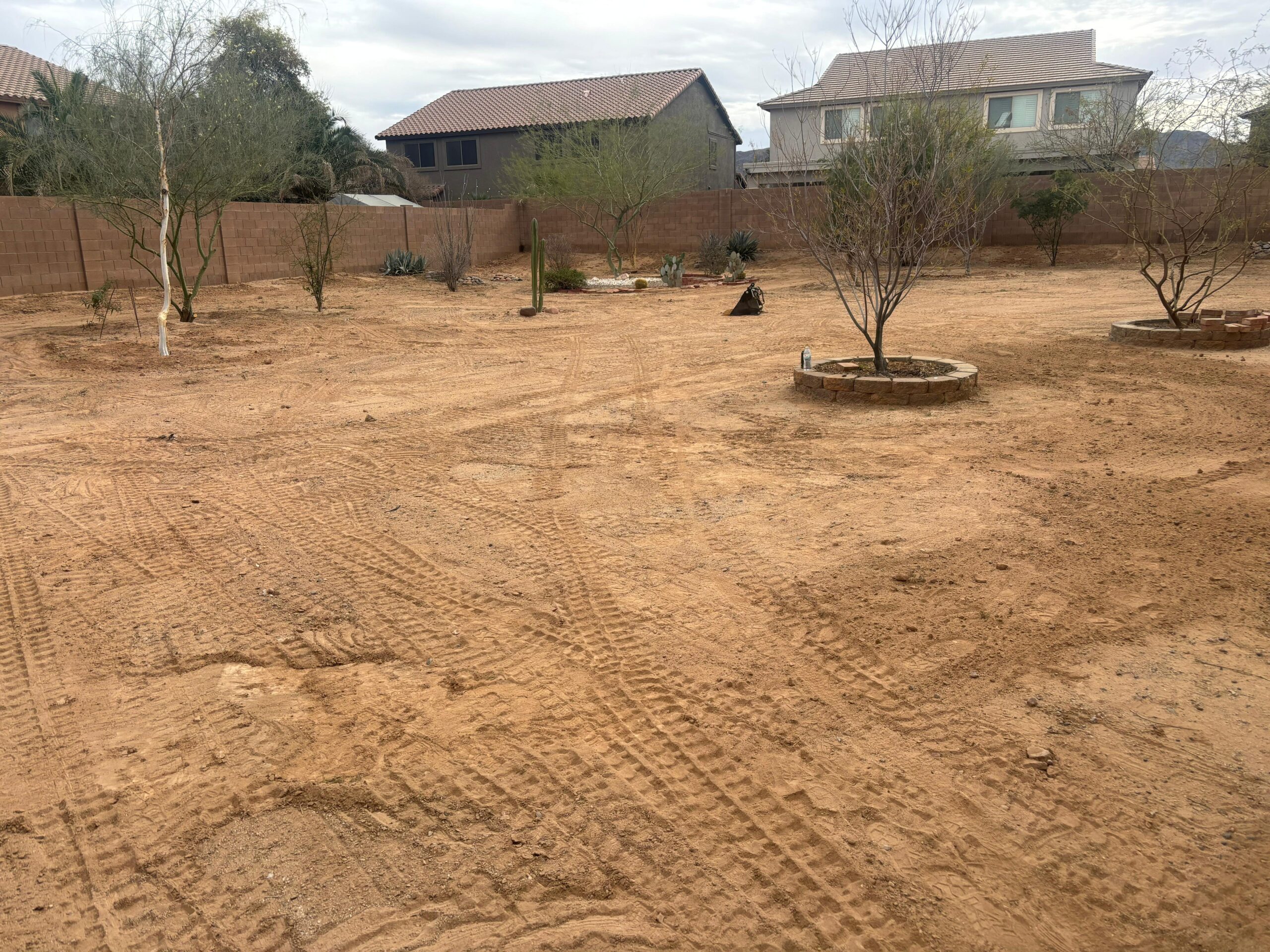 Yard Clean-Up