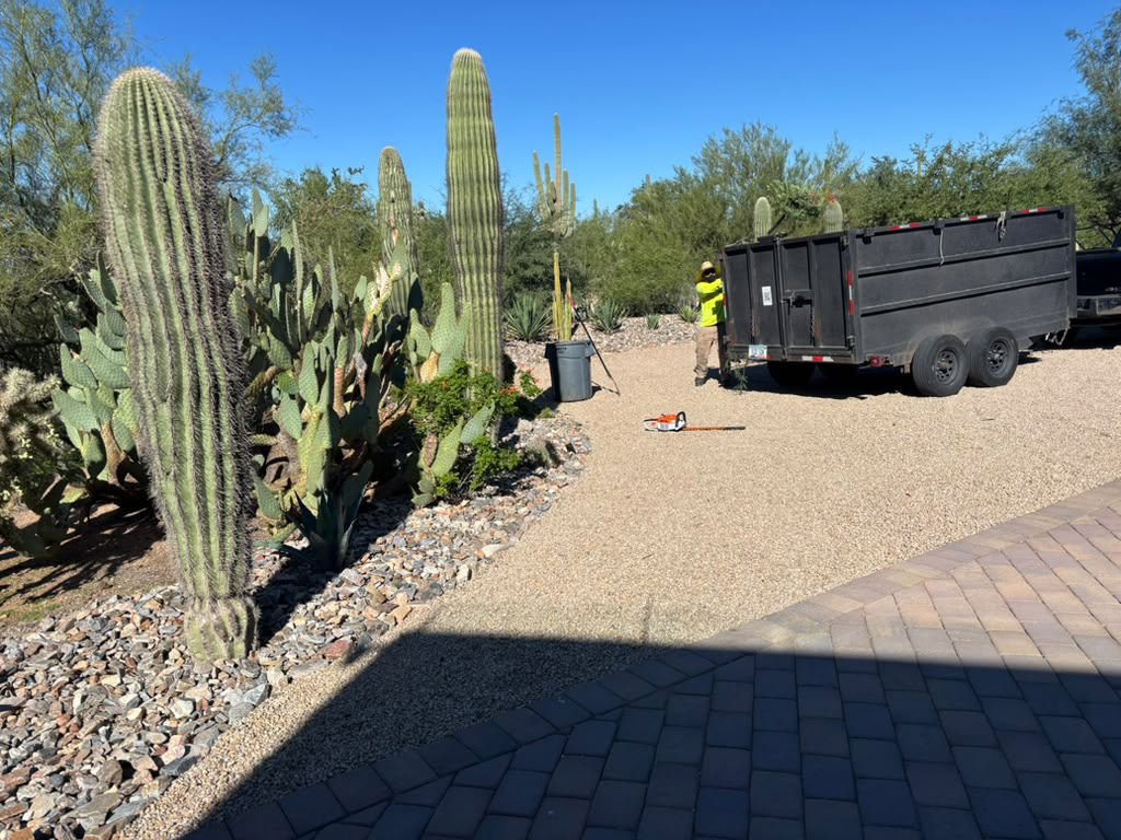debris hauling