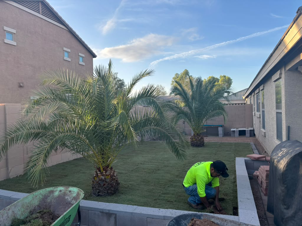 grass installation