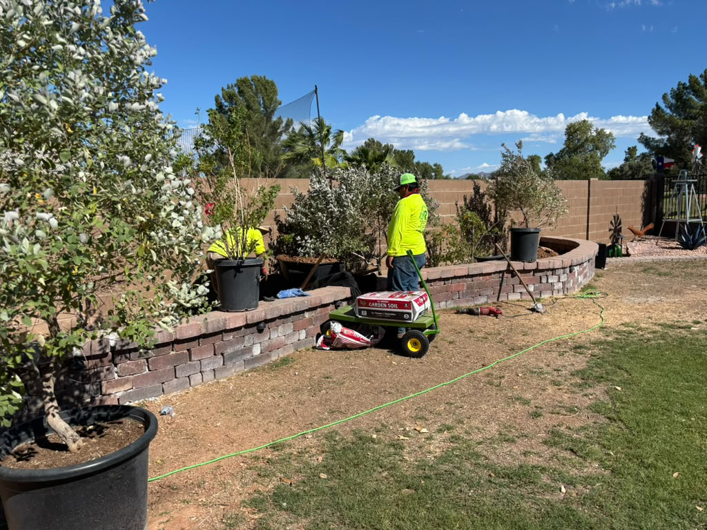 planting flowers beds
