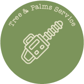 tree and palm